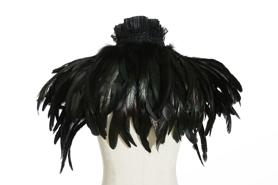 photo n°5 : Boléro gothique à plumes noirs