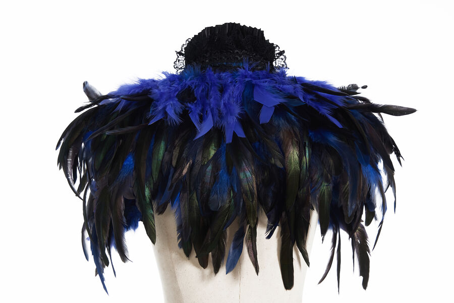 photo n°8 : Boléro gothique à plumes bleu