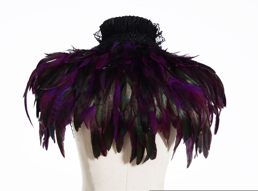 photo n°9 : Boléro gothique à plumes violet